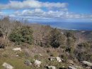 Montée au col de l'Aranyo